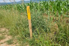 Z denacionalizacijskimi postopki naj bi razdružili zemljiške postopke in s tem omogočili kmetijam, da končno pridejo do svojih parcel, hkrati pa bo del zemljišč še ostal v državni lasti.  / Foto: Cveto Zaplotnik