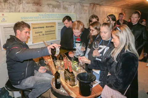 Vinska pot v Rovih pod starim Kranjem je na Gorenjskem in tudi širše zelo znan dogodek. Precej časa je sicer preteklo, kar so jo gostili prvič, a vsako leto privabi lepo število ljudi. / Foto: Alenka Brun