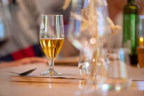 Županjino srečanje z 90 letniki Kranjska GoraSimbolična fotografija alkohol pivo Laško / Foto: Nik Bertoncelj