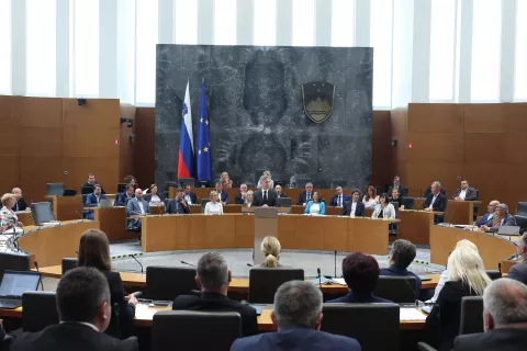 Državni zbor, seja / Foto: Borut Živulović/bobo