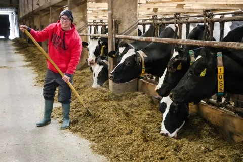 Jan Berlot, Nejc in Klemen Dolenc kmetija Dolenc Vrbnje občina Radovljica / Foto: Tina Dokl