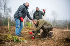 Povezani v skrbi za slovenske gozdove
