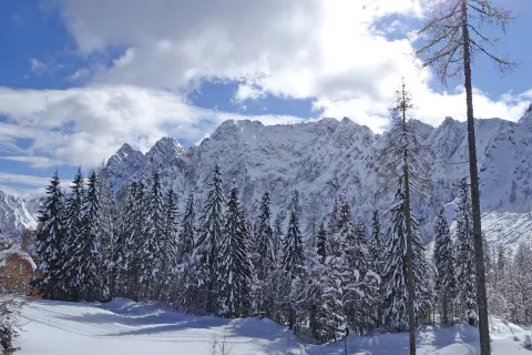 Pogled na severno ostenje Karavank / Foto: Jelena Justin
