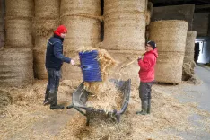Jan Berlot, Nejc in Klemen Dolenc kmetija Dolenc Vrbnje občina Radovljica / Foto: Tina Dokl