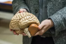 dr Zvezdan Pirtošek predavanje demenca pod drobnogledom od strahu do razumevanja, možgani / Foto: Tina Dokl