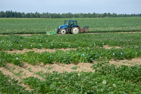 Dan krompirja v Lahovčah, Kmetijski in&scaron;titut Slovenije / Foto: Primož Pičulin