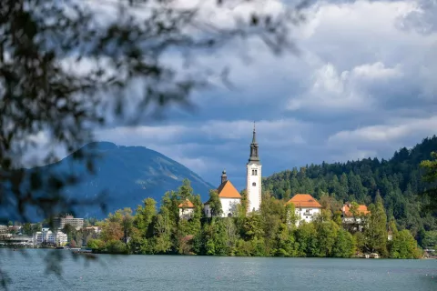 Simbolična fotografija Blejsko jezeroBlejski otok / Foto: Nik Bertoncelj