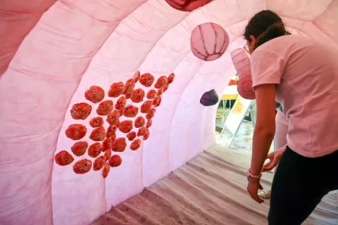 dan zdravja hala občine Kranj svit črevesje / Foto: Tina Dokl