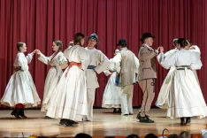 Mladi folklorniki so s plesom in nošami oživili duh preteklih rodov. / Foto: Arhiv Kd Dobrava Naklo