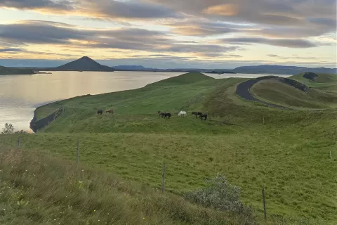 Jezero Myvatn, obdan z majhnimi vulkani / Foto: Rok Logar