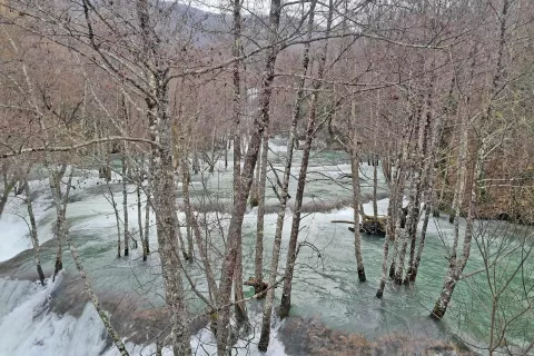 Martinj Brod - voda med drevesi zaradi obilnega deževja / Foto: Mojca Logar