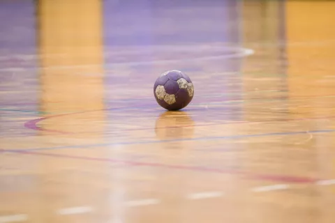 Kvalifikacijska tema za uvrstitev v ligo NLB med RK FRANKSTAHL RADOVLJICA : RD KOPER / Foto: Primož Pičulin