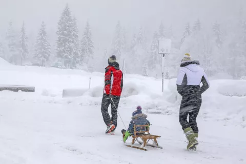 sneg či&scaron;čenje snega zasnežena cesta snežne razmere tranzit tovornjaki na cesti zastoj brez verig zimske gume zimskih gum Planica / Foto: Tina Dokl
