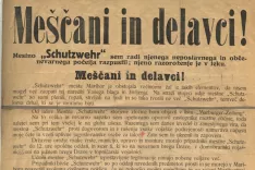 Maistrov razglas / Foto: Objavila Mariborska Knjižnica Na Kamra.si