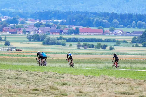 Peticija proti načrtovani kolesarski stezi