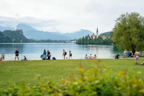 Kopanje Velika Zaka Bled / Foto: Nik Bertoncelj