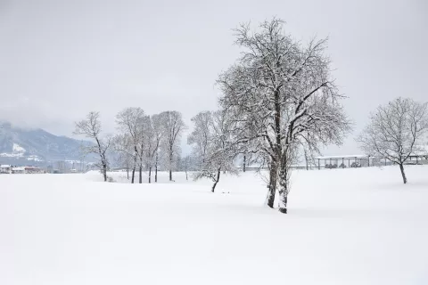 sneg sneženje cesta snežne razmere plug pluženje splužene ceste mraz Kranj snežak sneženi mož / Foto: Tina Dokl