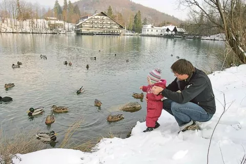 Mesec marec je namenjen ženskam: 8. marec, mednarodni dan žena, uveljavljanju pravic in enakopravnosti ženk, materinski dan, 25. marec, pa materam in materinstvu. V sodobnih družinah skrb za otroke in dom danes v veliki meri prevzemajo tudi očetje. Bi si tudi oni morda zaslužili svoj dan? / Foto: Tina Dokl