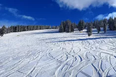 Fotografija je simbolična. / Foto: Pixabay