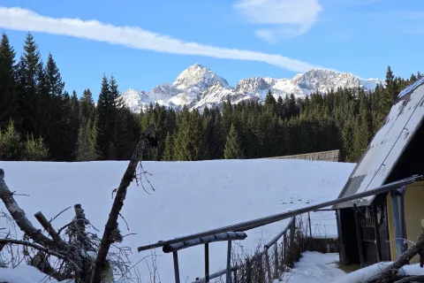 Pobudo so prevzeli poslanci