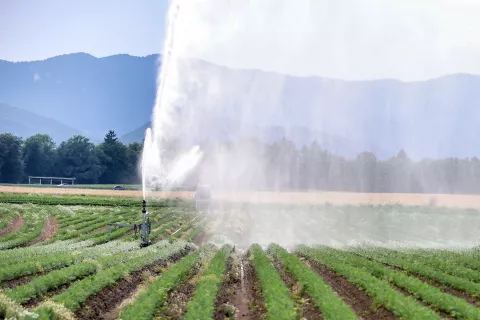 Lansko leto četrto najtoplej&scaron;e po letu 1950