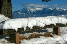 Fotografijo nam je poslal Stane Jarc, nobene besede ni dodal, kakor da bi s tem želel poudariti ti&scaron;ino. Fotografijo je &raquo;prebral&laquo; na&scaron; fotografski mojster Matic Zorman, njegovo oceni si lahko preberete v sosednjem članku. / Foto: Stane Jarc