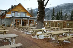 O&scaron;tarija, kranjska gora / Foto: Alenka Brun