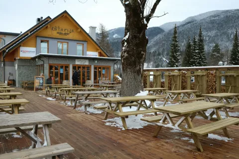 O&scaron;tarija, kranjska gora / Foto: Alenka Brun