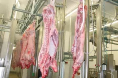 Slovenski kmetje se bojijo, da bi za pridelke in izdelke, uvožene iz držav Mercosurja, veljali drugačni standardi pridelave, prireje in predelave, kot veljajo v Sloveniji. Slika je simbolična. / Foto: Cveto Zaplotnik