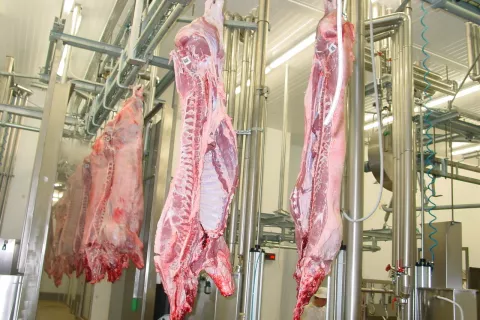 Slovenski kmetje se bojijo, da bi za pridelke in izdelke, uvožene iz držav Mercosurja, veljali drugačni standardi pridelave, prireje in predelave, kot veljajo v Sloveniji. Slika je simbolična. / Foto: Cveto Zaplotnik