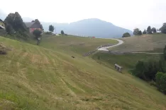 Država bo januarja izplačala upravičenim kmetijam subvencije za kmetovanje na hribovskih območjih. / Foto: Cveto Zaplotnik