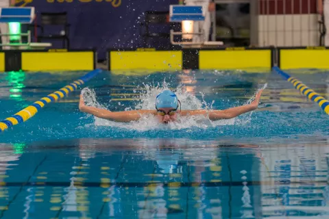 26. MEDNARODNO PLAVALNO TEKMOVANJE BO&Scaron;TJANOV "DR. FIG" / Foto: Primož Pičulin