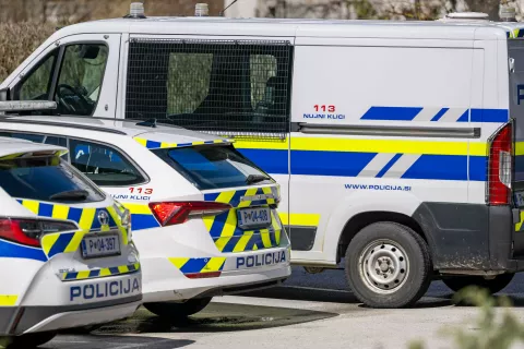 Simbolična fotografija Policijsko vozilo / Foto: Nik Bertoncelj