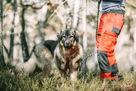 Na Jesenicah ostali brez pogodbe z zaveti&scaron;čem