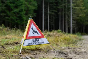Simbolična fotografija gozd in gozdarstvotabla pozor izvajanje lova lovci lovska družinajesen 2025 / Foto: Nik Bertoncelj
