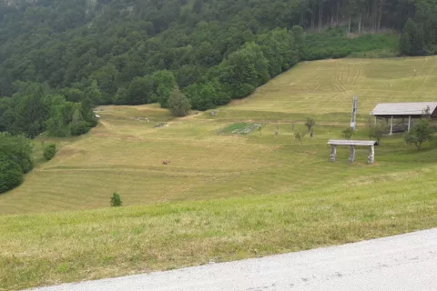 Na srečanju mladih prevzemnikov kmetij bodo razpravljali tudi o spremembah kmetijske politike po letu 2027. Bo morda potlej bolje tudi za hribovsko kmetijstvo? / Foto: Cveto Zaplotnik