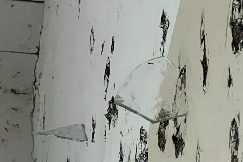 Vandalizem tudi v Dnevnem centru &Scaron;tacjon