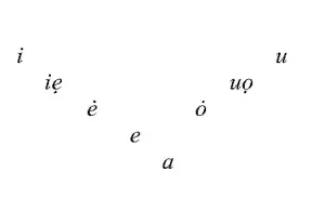Samoglasniki v žirovskem govoru Foto: Gorenjski Glas