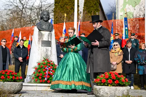 osmi februar vrba / Foto: Nik Bertoncelj