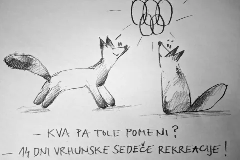 Vizualni komentar - kultura / Foto: Črtomir Frelih