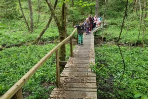 Gozdne učne poti so tudi za otroke dobre učilnice na prostem. / Foto: Cveto Zaplotnik