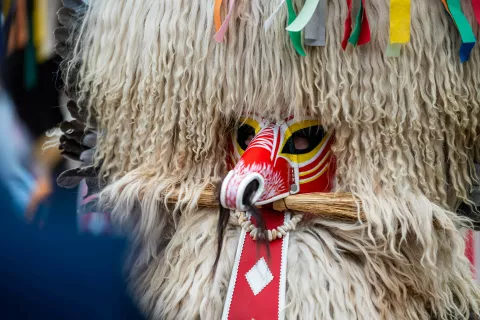 Pustna povorka Jesenice14.2.2026 / Foto: Nik Bertoncelj