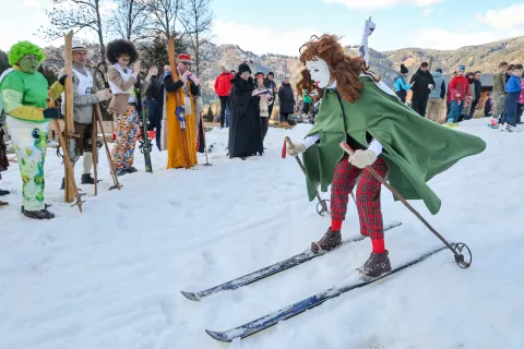 Smuk jezerskih smučarskih korenin Park Jezersko / Foto: Tina Dokl