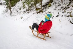 Pohodni&scaron;ka in sanka&scaron;ka pot Krnica24.1.2026 / Foto: Nik Bertoncelj