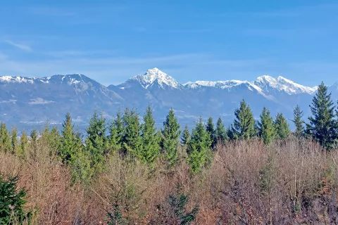 Pogled na Storžič je v teh dneh &scaron;e zelo kontrasten. / Foto: Jelena Justin