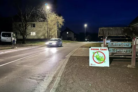 V Žverci i&scaron;čejo prostovoljce za pomoč žabicam