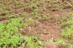 Upravljavci lovi&scaron;č v Gorenjskem lovskoupravljavskem območju so predlani prejeli od lastnikov kmetijskih zemlji&scaron;č in gozdov 115 prijav &scaron;kode po divjadi in jim izplačali v denarju, materiali in delu skupno&nbsp;...evrov od&scaron;kodnine, od tega / Foto: Cveto Zaplotnik