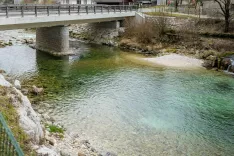 Ribe potrebujejo za življenje raznoliko vodno okolje in zadostne količine vode. / Foto: Nik Bertoncelj