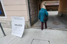 SDS bo izpodbijal rezultat predčasnega glasovanja