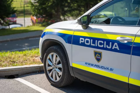 Simbolična fotografija Policija / Foto: Nik Bertoncelj